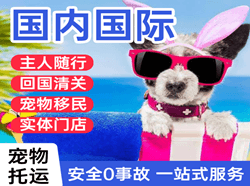 南阳姜营机场邮寄国际宠物托运 【国
